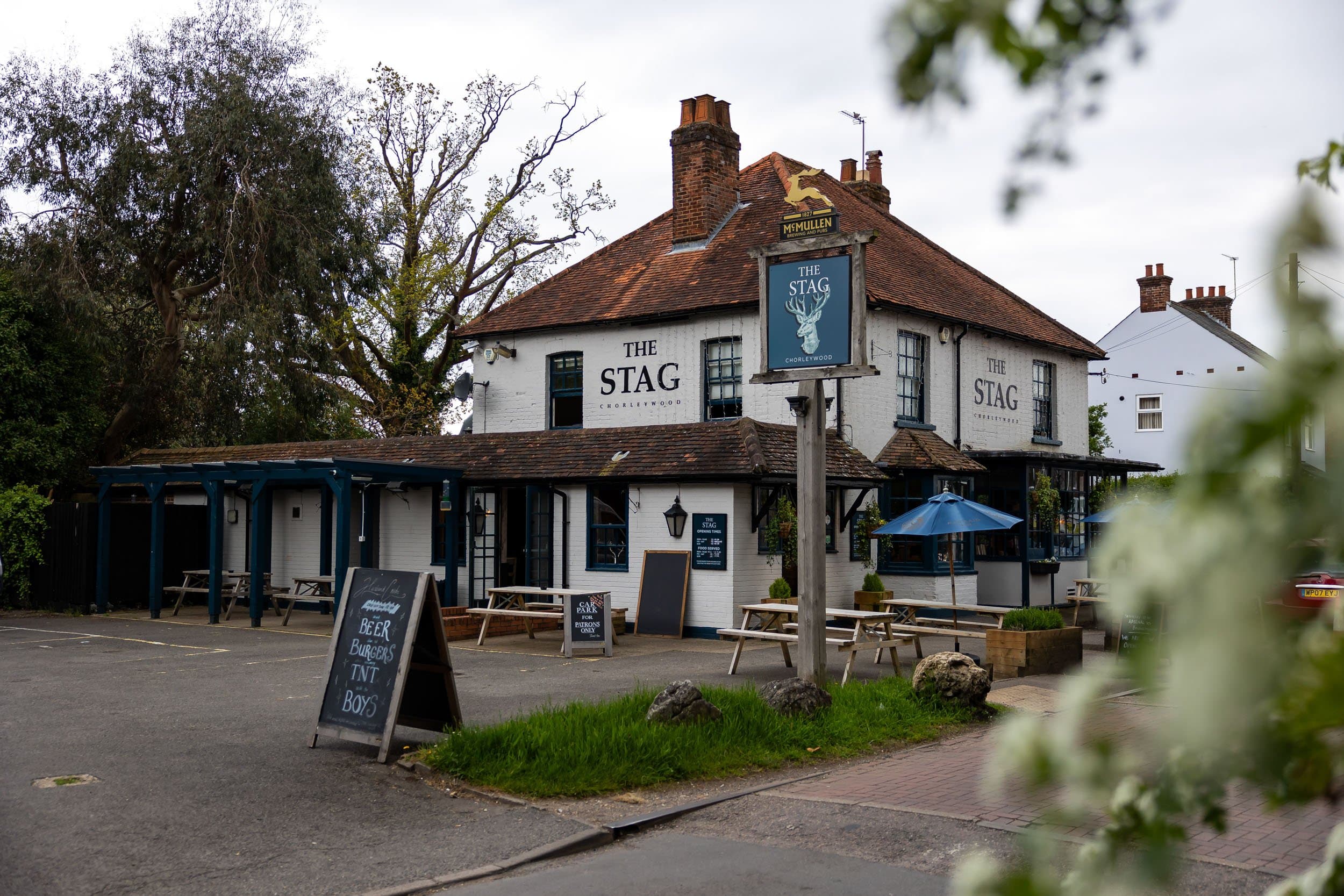 Stag, Chorleywood_03.jpg