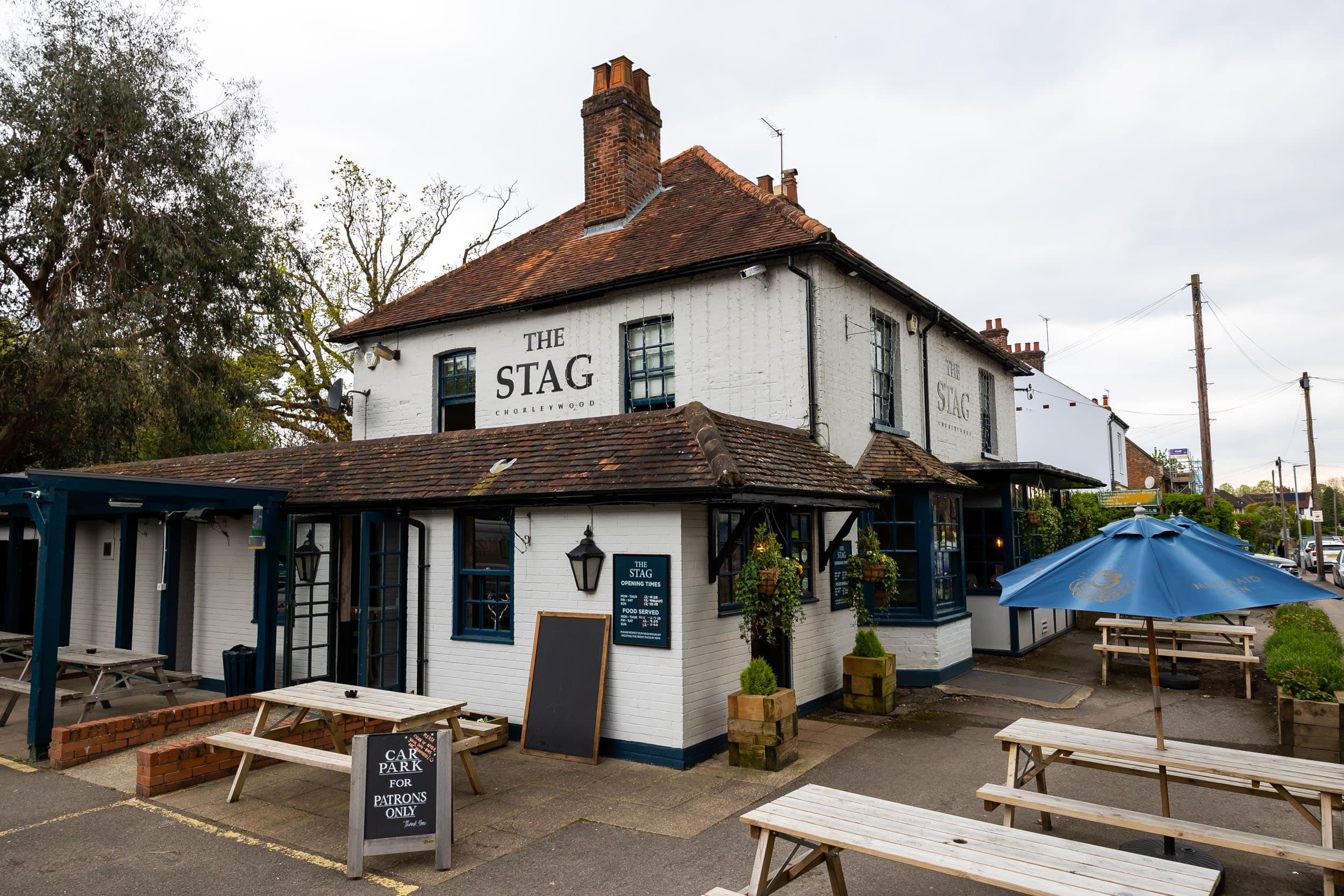Stag, Chorleywood_04.jpg