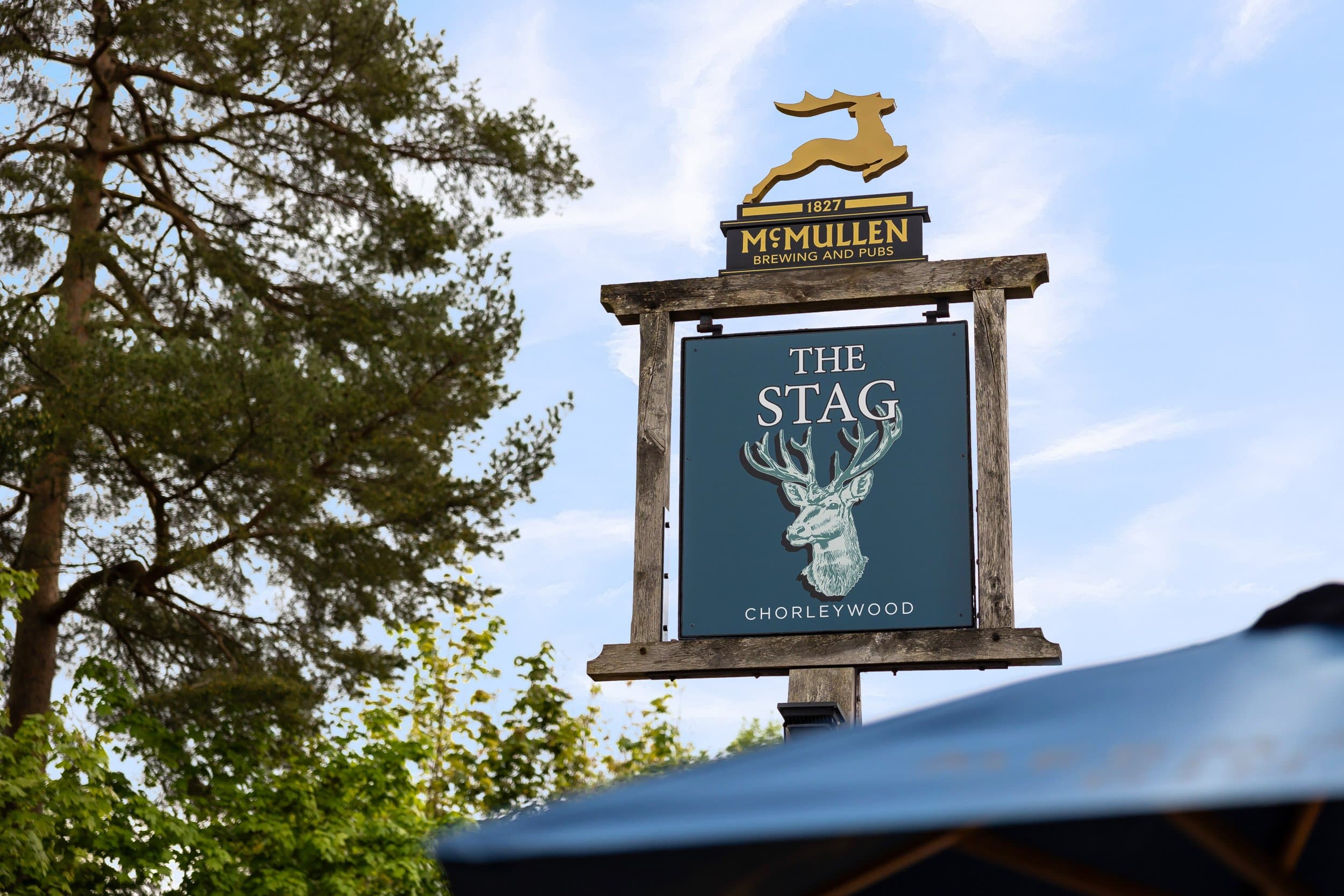 Stag, Chorleywood_05.jpg